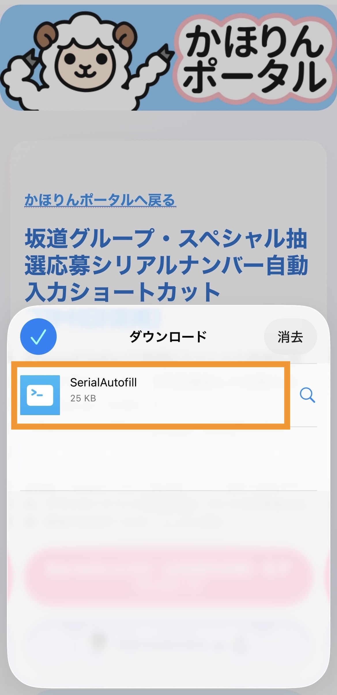1-4. ダウンロードしたものを表示した画面